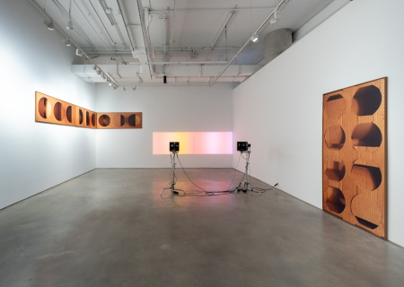 هندسه‌ی خیال: نگاهی به نمایشگاه “مردم و اعداد طبیعی” اثر لوسیا کوخ