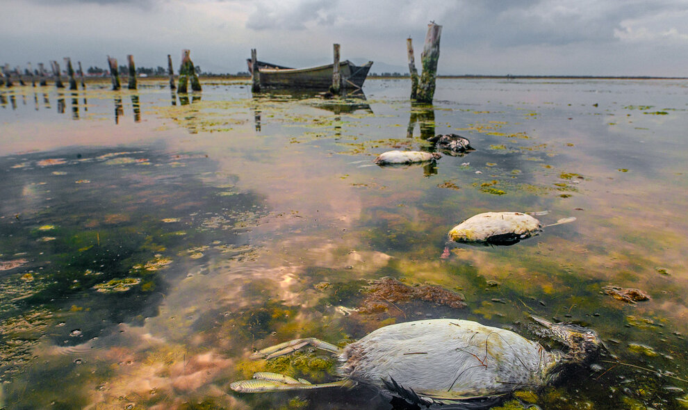 از میانکاله تا انزلی؛ فریاد تالاب‌ها برای نجات/ سطح آب دریای خزر تا ۲۵ سال آینده تا ۶ متر کاهش می‌یابد