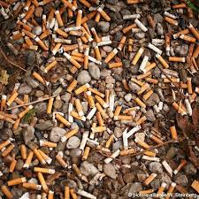 فیلتر سیگار: تهدیدی برای محیط زیست، اقتصاد و آینده سیاره زمین