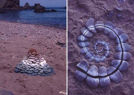 بازتعریف موزه و اثر هنری در دل طبیعت