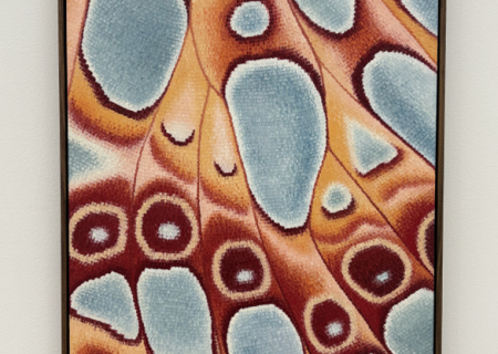 بازنگری نمایشگاه: آوا مک‌داناک و مایکل مانجینو