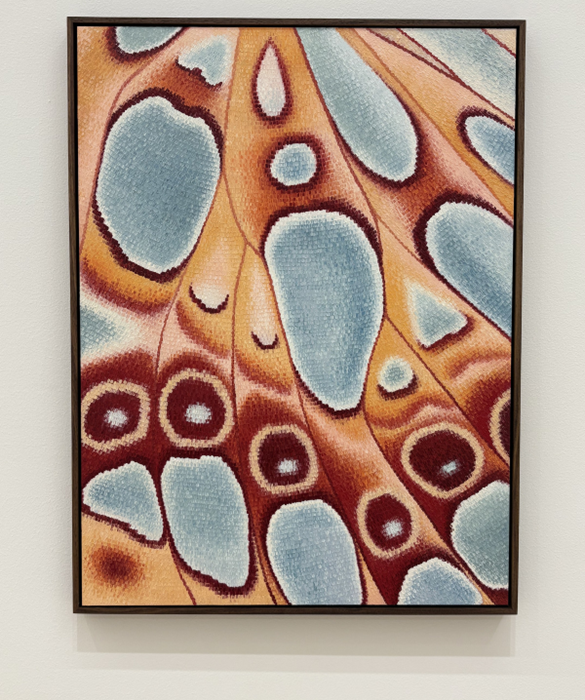 بازنگری نمایشگاه: آوا مک‌داناک و مایکل مانجینو