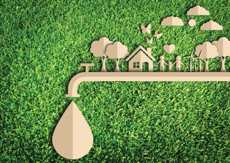 آب می‌رود و درختان می‌خشکند/ هدر رفت منابع آبی در آبیاری فضای سبز پایتخت