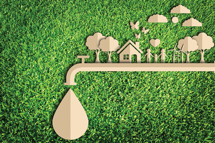 آب می‌رود و درختان می‌خشکند/ هدر رفت منابع آبی در آبیاری فضای سبز پایتخت