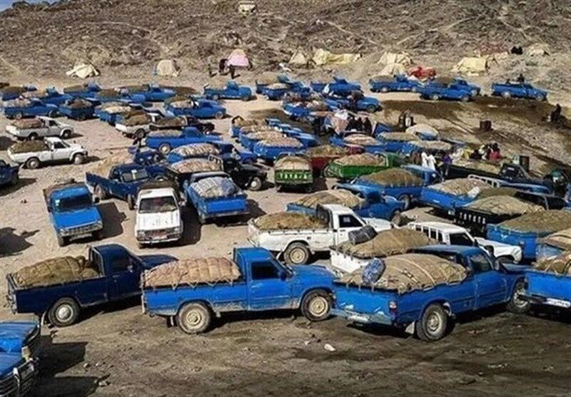 قاچاق وحشتناک سوخت از کشور؛ ۱۰ هزار نیسان هم نمی‌تواند این حجم قاچاق را تخلیه کند