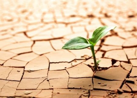 اقلیم کشور در خطر؛ ۵۰ تا ۷۰ میلیون ایرانی تا ۱۴۲۰ با بحران اقلیمی مواجهند/ کدام نواحی در معرض «مهاجرت اجباری» هستند؟