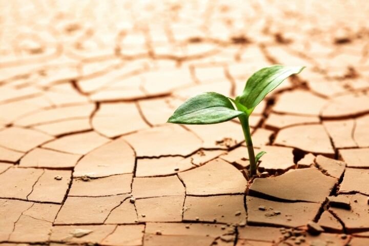 اقلیم کشور در خطر؛ ۵۰ تا ۷۰ میلیون ایرانی تا ۱۴۲۰ با بحران اقلیمی مواجهند/ کدام نواحی در معرض «مهاجرت اجباری» هستند؟