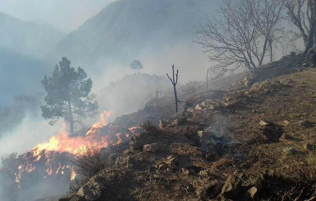 آتش سوزی در کوه آبیدر سنندج؛ «چیاکو» در روز تولدش جان باخت/ «خبات» ما پرپر شد؛ «اگر دمنده دست جوانان دادید چرا لباس ضدحریق و دستکش و کفش ایمن ندادید؟»