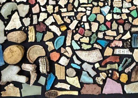 تکه‌های پلاستیک در شکم یک پرنده/ آلودگی پلاستیک به پرندگان این جزیره هم رسید/ عکس