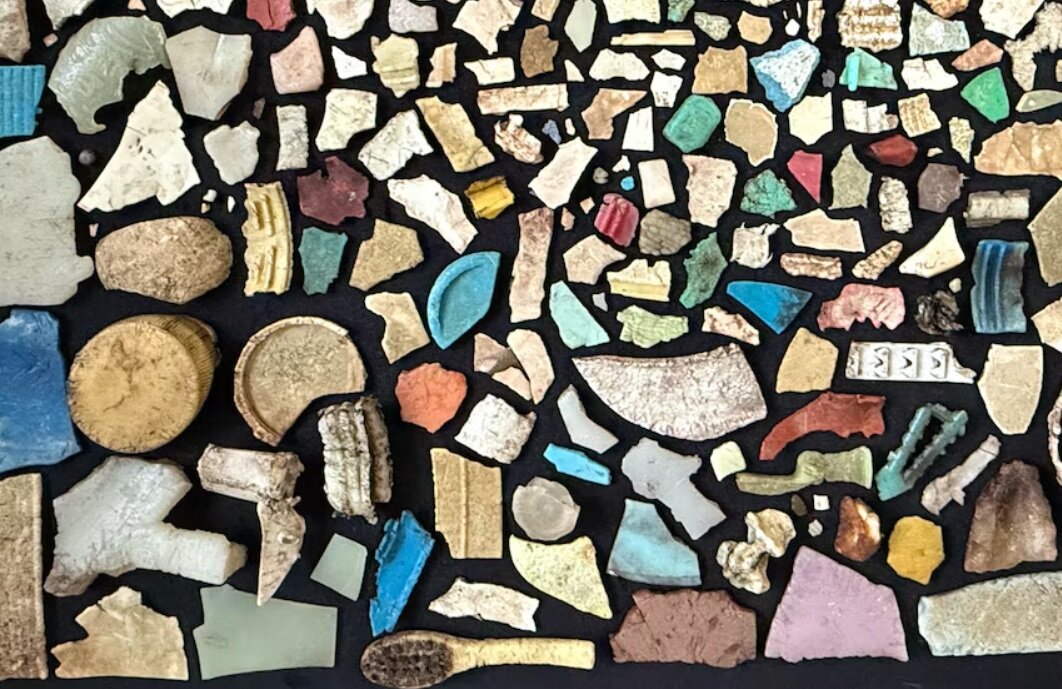 تکه‌های پلاستیک در شکم یک پرنده/ آلودگی پلاستیک به پرندگان این جزیره هم رسید/ عکس