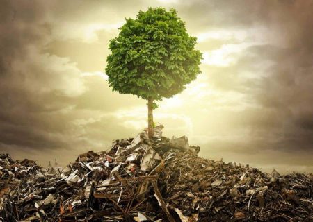 جنگ چگونه محیط‌زیست را قربانی فرصت‌طلبی می‌کند؟/ رضایت مردم، پشتوانه ثبات کشور است/ تخریب پهنه‌های طبیعی در سایه جنگ و فساد اداری