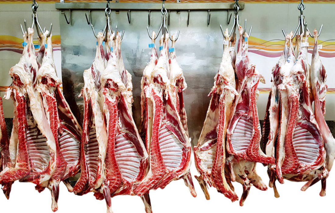 دلایل اصرار برخی برای عدم حذف ارز ترجحی گوشت بررسی شد؛  به نام مردم به کام مافیای بازار