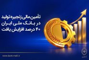 تأمین مالی زنجیره تولید در بانک ملی ایران ۴۰درصد افزایش یافت