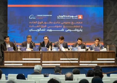 افزایش سرمایه ۴۲ درصدی شگویا تصویب شد ‌