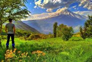 نوا؛ مقصدی خنک در همسایگی دماوند برای فرار از گرمای تابستان