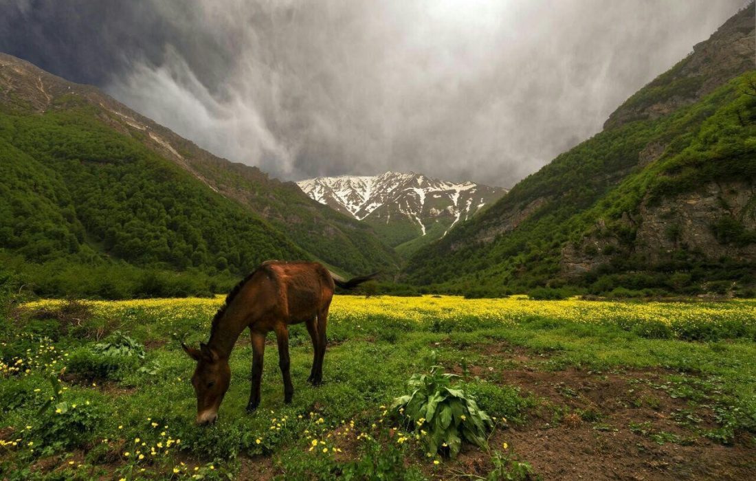 از آبشارهای پنهان تا دشتهای مرتفع؛ در فصل گرما کجا آب و هوا تازه کنیم؟/ معرفی ۶ مقصد بکر و خنک اطراف تهران