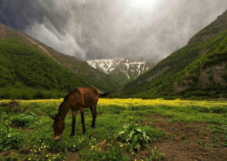 از آبشارهای پنهان تا دشت‌های مرتفع؛ در فصل گرما کجا آب و هوا تازه کنیم؟/ معرفی ۶ مقصد بکر و خنک اطراف تهران