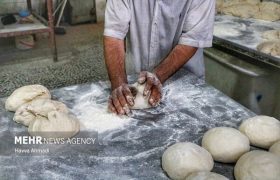 بخشی از نان یارانه‌ای به جای سفره مردم، خوراک دام می‌شود