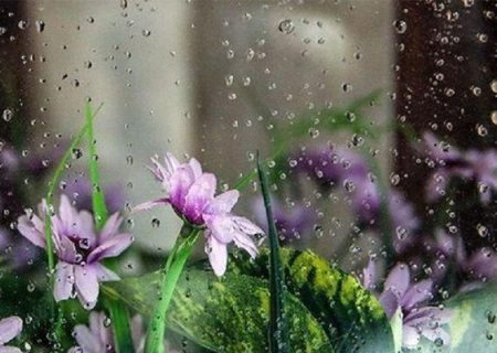 توصیه به کشاورزان برای ۴ روز آینده
