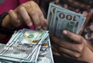 فراتر از نفت؛ کارکرد تراستی‌ها در صادرات انواع محصولات ایرانی