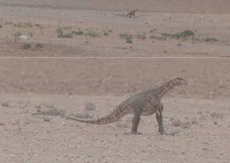 مشاهده دایناسور در خراسان رضوی؛ محیط زیست واکنش نشان داد/ عکس