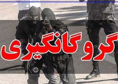 گروگانگیری در خیابان معروف تهران