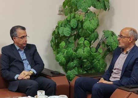 بانک مسکن ۶۷۰۰ خانواده در استان خراسان جنوبی را خانه دار کرد/ نقش محوری بانک مسکن در شتاب‌بخشی به نهضت ملی