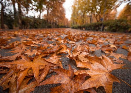 اگر عاشق پاییزید، این ۳ جای ایران را از دست ندهید