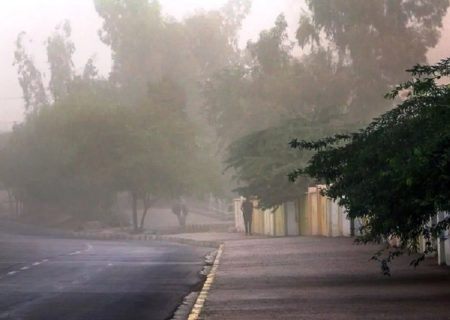 چرا بوی خاکِ نم‌ خورده  آرامش‌ بخش است؟/ آیا عطر باران جایگزین دارد