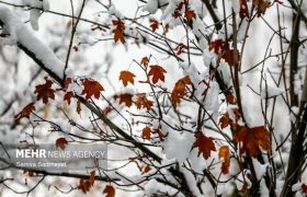باران و برف در کمین تهران؛ هشدار کاهش ۵ درجه‌ای دما و احتمال یخبندان