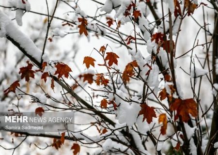 باران و برف در کمین تهران؛ هشدار کاهش ۵ درجه‌ای دما و احتمال یخبندان