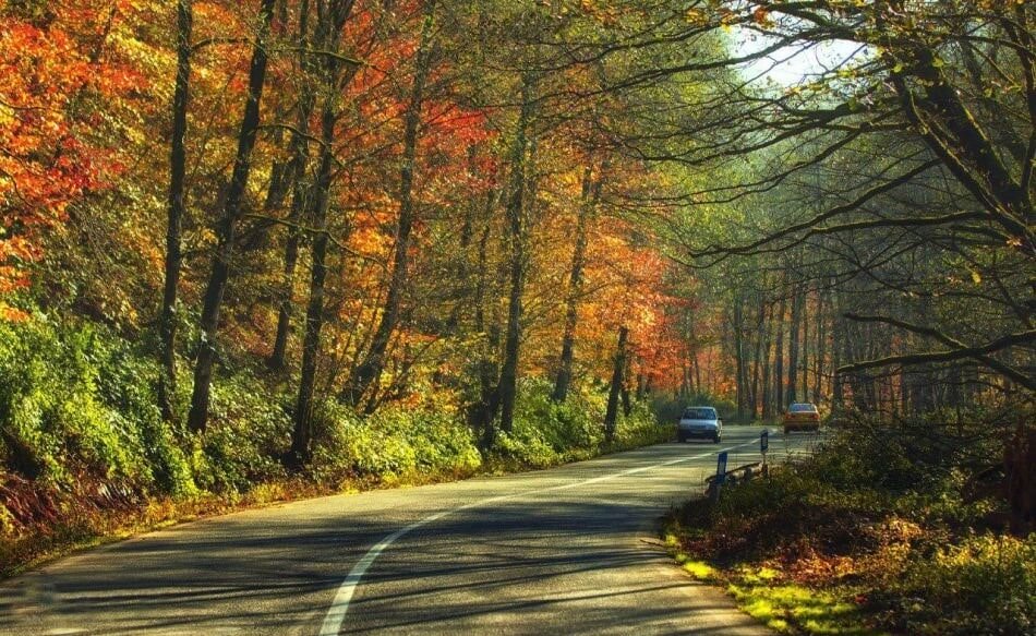 پاییز را همین نزدیکی پیدا کنید/ ۵ مقصد برای سفر یکروزه پاییزی اطراف تهران