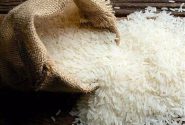 کاهش آرسنیک و سموم برنج با خیساندن قبل از پخت و آشنایی با ترکیبات ضدتغذیه‌ای آن