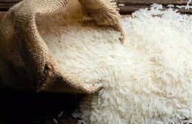 کاهش آرسنیک و سموم برنج با خیساندن قبل از پخت و آشنایی با ترکیبات ضدتغذیه‌ای آن